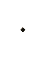 Magnet B